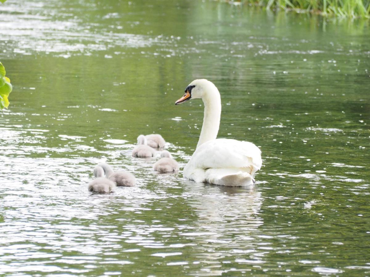 The Fisherman's Andover